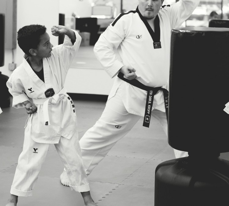 fair-oaks-family-taekwondo-photo